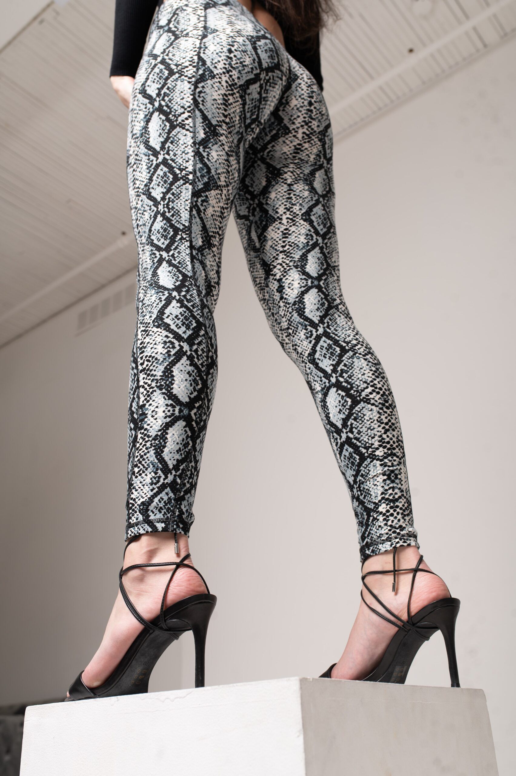 Snake Print High Waisted Leggings for Women